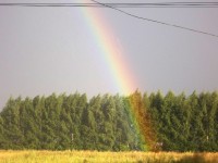 4 августа. Конец ненастью! Автор Марина Владимировна Бутусова, с. Спасское Нижегородской области