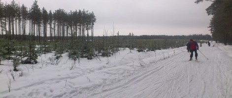 25 декабря. Отдых в Дубравном. Автор Фаина Векслер