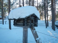 7 декабря. Путешествие в сказку. Автор Людмила Николаевна Крапивина, город Архангельск