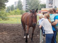 18 августа. Лошадиный праздник. Автор Галина Васильевна Яковлева