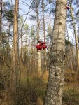 2 ноября. Озеро белесо. Бледен небосвод... Автор Галина Васильевна Яковлева