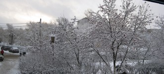 5 декабря. Под снежным пледом. Автор Татьяна Шепелева