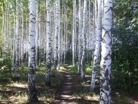 10 июля. Я люблю село родное. Село Спасское Нижегородской области. Автор Марина Владимировна Бутусова