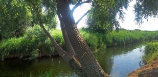 10 июля. Я люблю село родное. Село Спасское Нижегородской области. Автор Марина Владимировна Бутусова