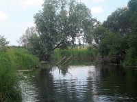 10 июля. Я люблю село родное. Село Спасское Нижегородской области. Автор Марина Владимировна Бутусова