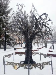 26 января. Дерево Дружбы в сквере городов-побратимов Белгорода. Автор Елена Булатова