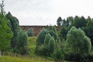 9 июня. Лето в Спасском. Автор Марина Владимировна Бутусова, село Спасское Нижегородской области