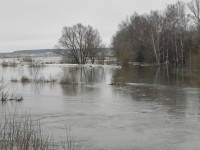 5 апреля.''А воды уж весной шумят...'' Посёлок Шатки в половодье. Автор Светлана Тимонина