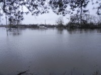 5 апреля.''А воды уж весной шумят...'' Посёлок Шатки в половодье. Автор Светлана Тимонина