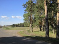 8 мая. Солнечные ванны. Фото Галины Ивановны Медяевой, п. Шатки Нижегородской области