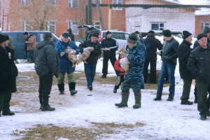 Каликино. Проводы зимы. Гусиные бои. Автор Татьяна Осипова