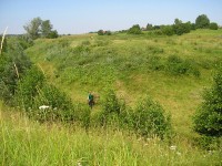 4 июля. Пастораль. Автор Галина Ивановна Медяева, п. Шатки Нижегородской области