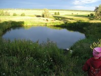 4 июля. Пастораль. Автор Галина Ивановна Медяева, п. Шатки Нижегородской области